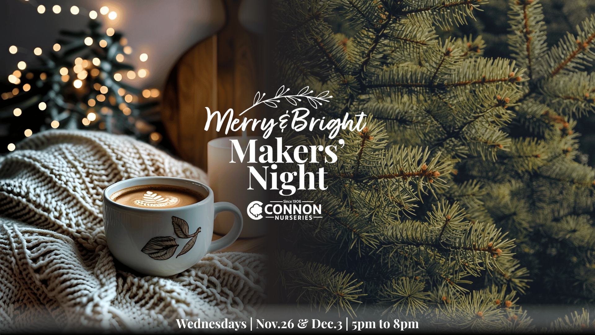 Todd solo @ Connon Nurseries